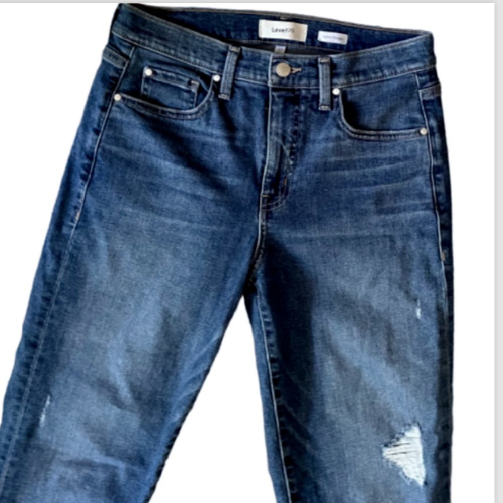 Anthropologie Level 99 Size 27 / 4 Jeans Daphne Straight Distressed Raw Hem